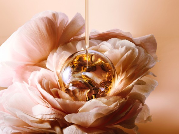 全新精华肌底兰蔻,全新兰蔻菁纯润白乳霜