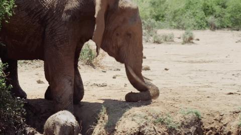 他们被杀之后，依然在爱你
