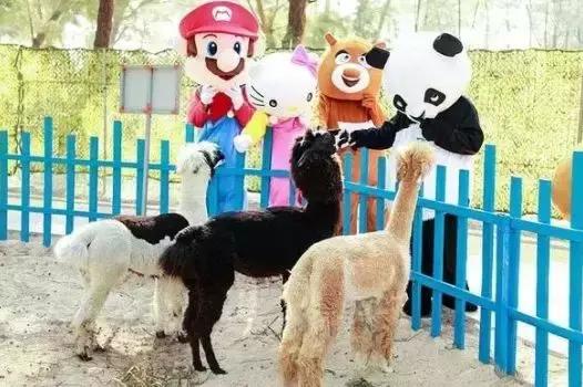 洛阳旅游景区民宿招商,洛阳徽派民宿小镇