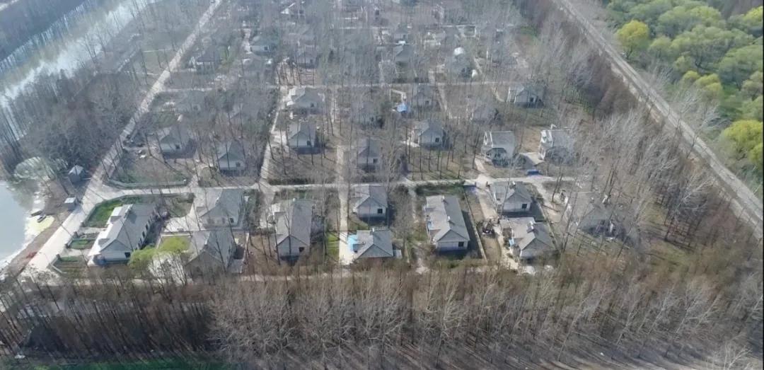 黎辉现场调度八卦洲长江岸线整治，要求如期整治到位，确保长江大保护工作走在前列