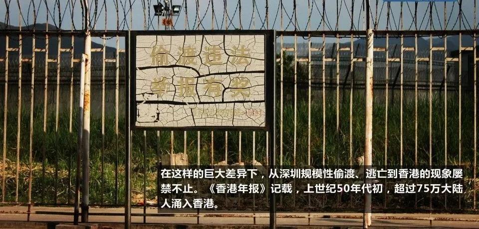 四十年后天堂向右深圳向左,天堂往左深圳往右简介