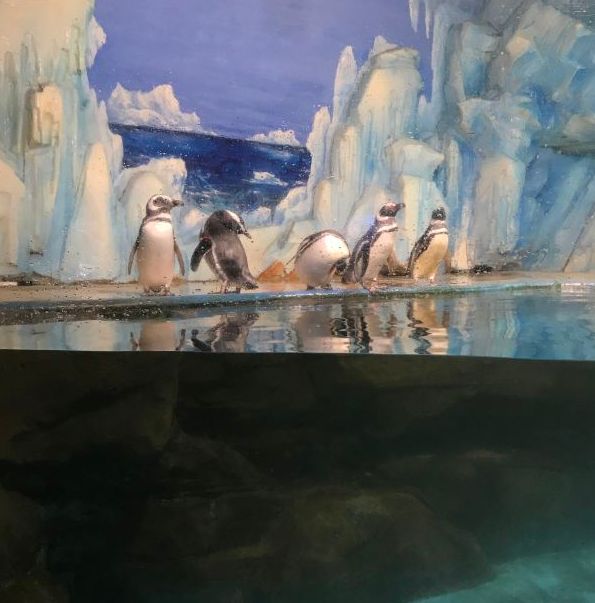 常州金鹰海洋世界门票,常州海洋金鹰海洋世界