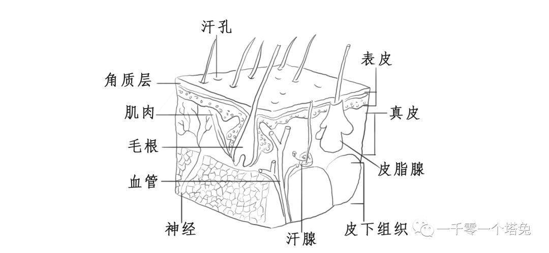 半永久纹身有什么方式,半永久纹身是怎么搞的