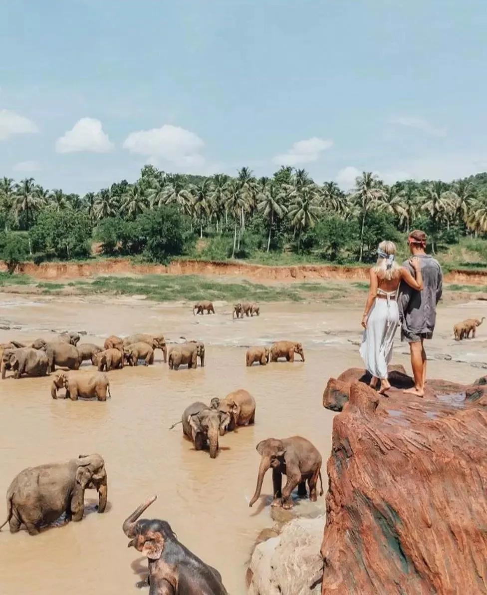 一个清洁工拍的照片一张卖6万,把美女娶回了家