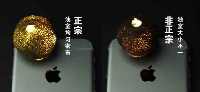 真假小青柑的鉴别方法,如何分辨真假新会小青柑