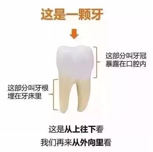 怎么判断各种牙痛,牙痛视频分析
