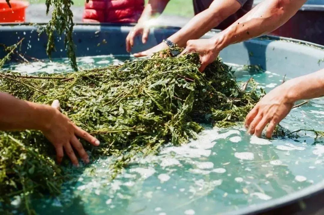 天然染色剂衣服,天然蓝染系列介绍