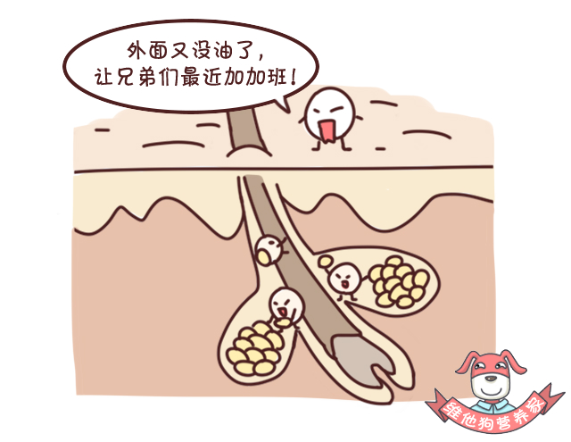 战痘十年了怎么治好的,战痘多年没有效如何正确祛痘