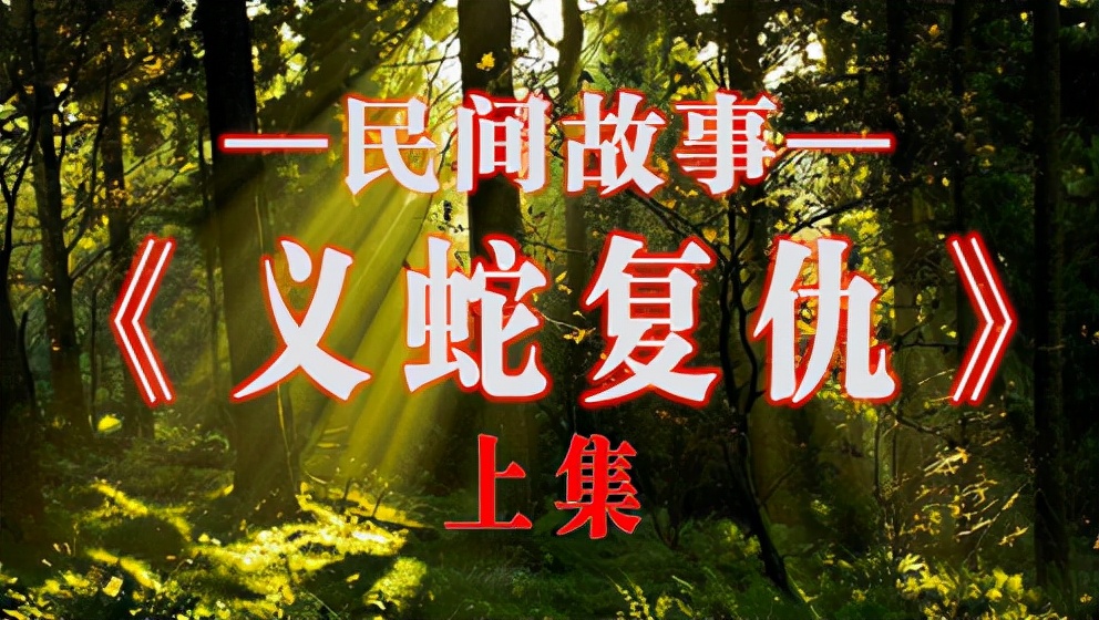 为什么抓到眼镜王蛇要放生,最大眼镜王蛇放生