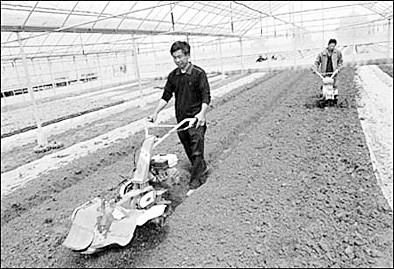 土壤贫瘠怎么让它松软,土壤贫瘠如何改良肥料