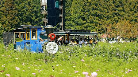 森氧之地，秋游必选！金湖万亩水上森林，真的别有趣味