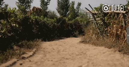 寻遍祖国大好山河,寻遍中国