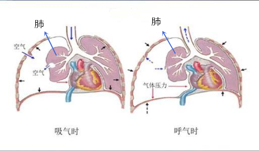 心梗病人运动后胸闷胸痛什么情况,运动后胸闷胸痛是怎么回事