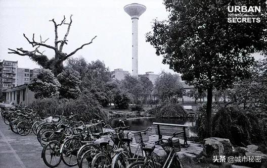 杭州文教区如果不写杭师大，那和一条失去梦想的咸鱼有啥区别