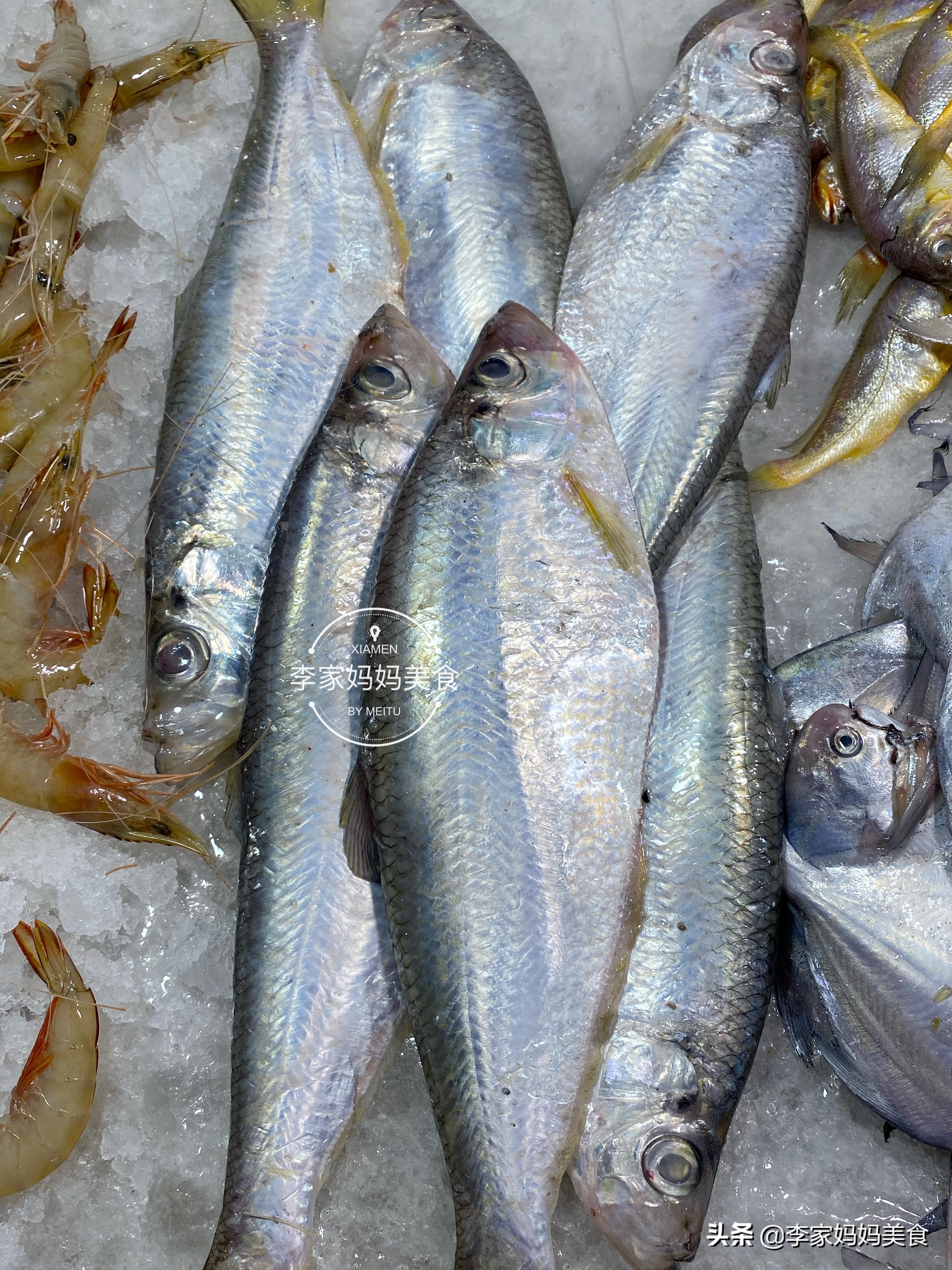 沿海特色海鲜,沿海海鲜推荐