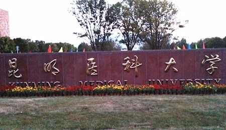 理科二本318所,2019年文科二本各大院校的投档线