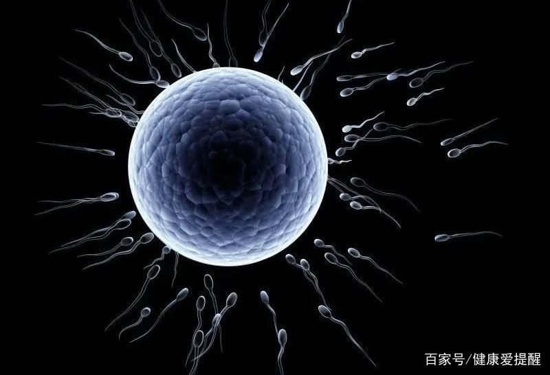 精子不液化和精子弱的区别,精子不液化和不完全液化有区别吗