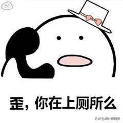 马桶和蹲厕哪个好,蹲厕好还是马桶好