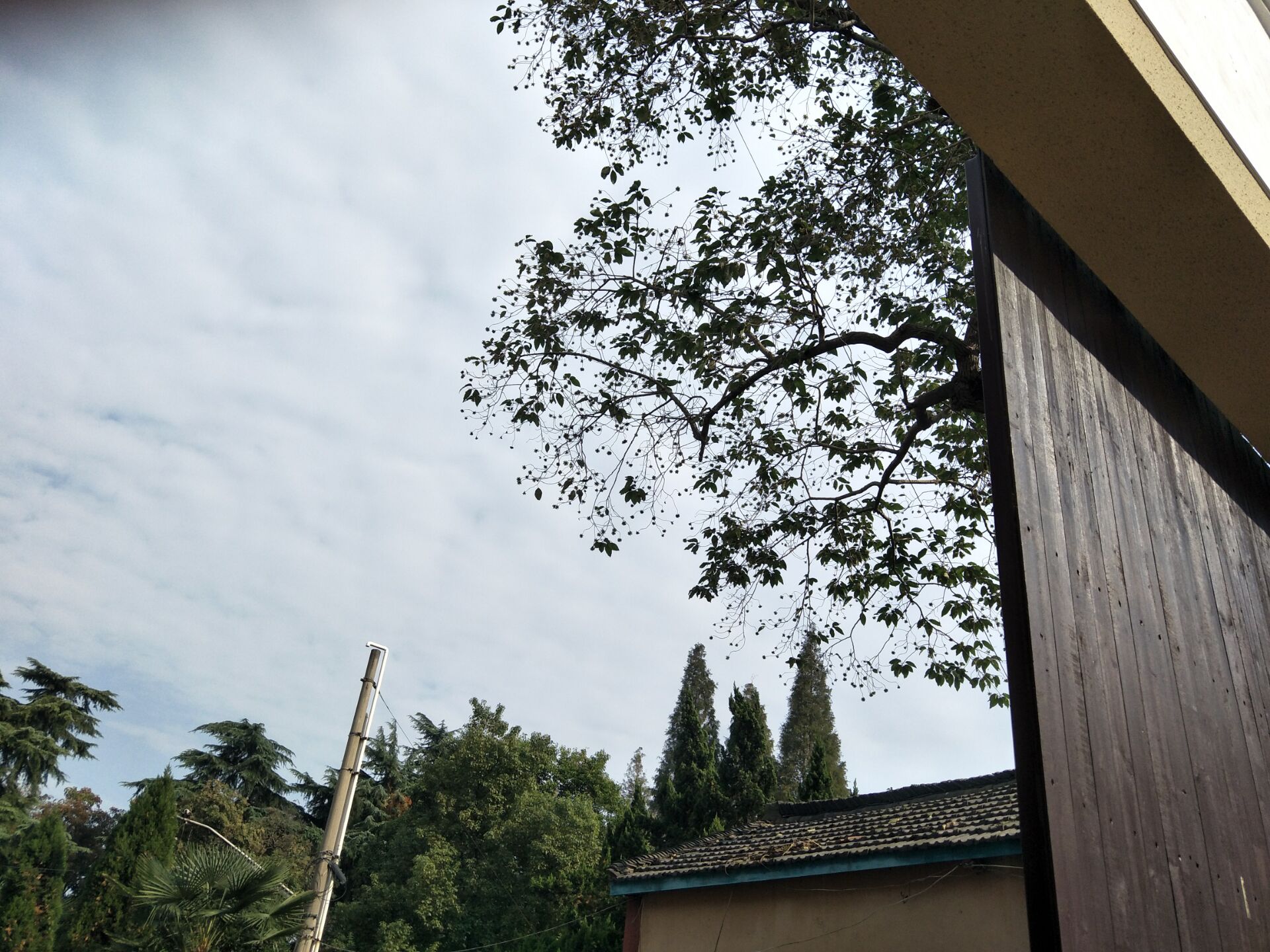 记忆中的新市“三中”很美