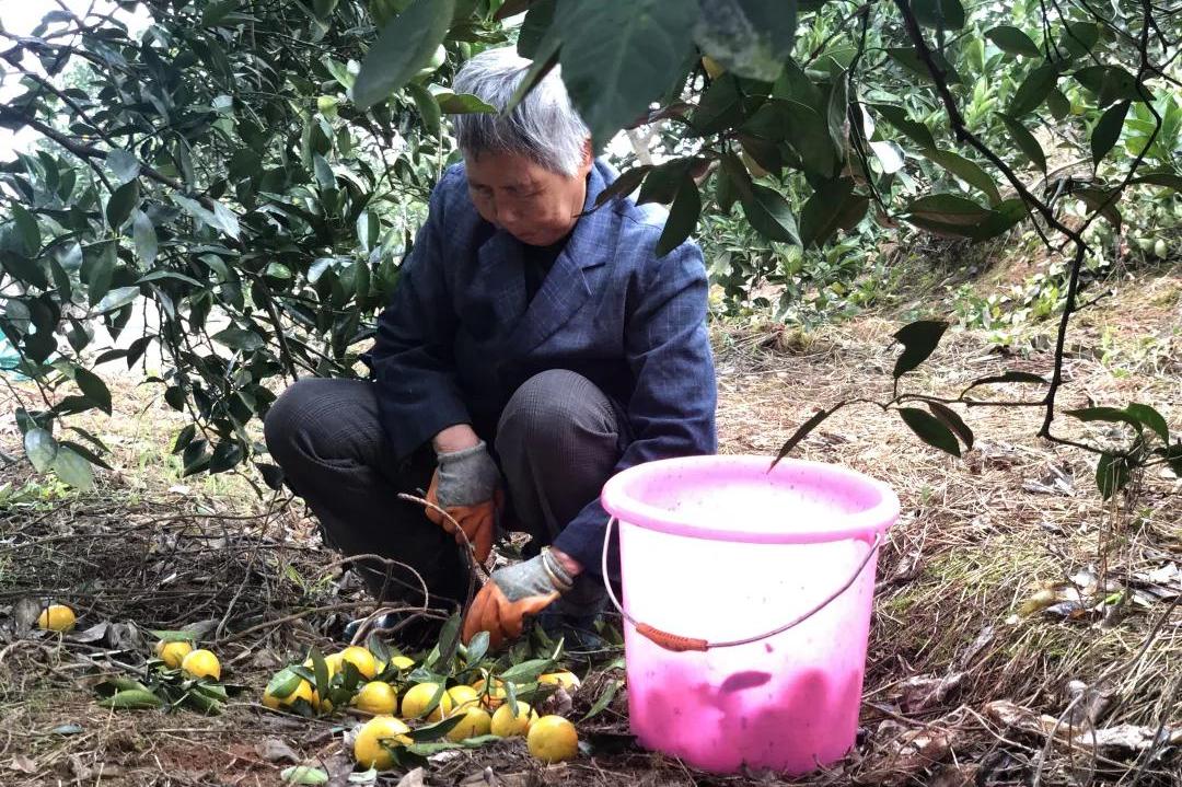 留守老人心酸,心酸留守老人