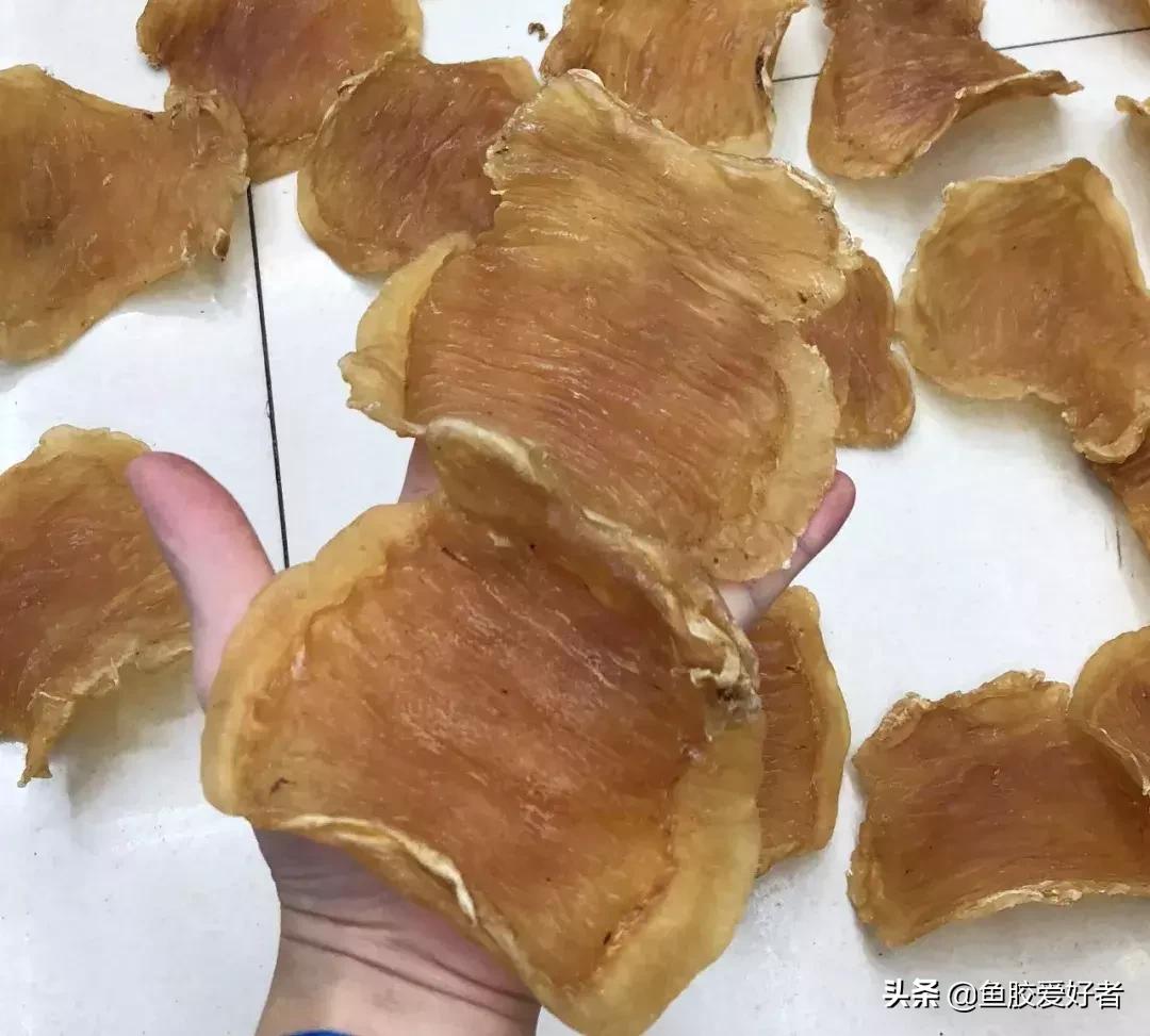 十大鱼胶排行,十大鱼胶品牌