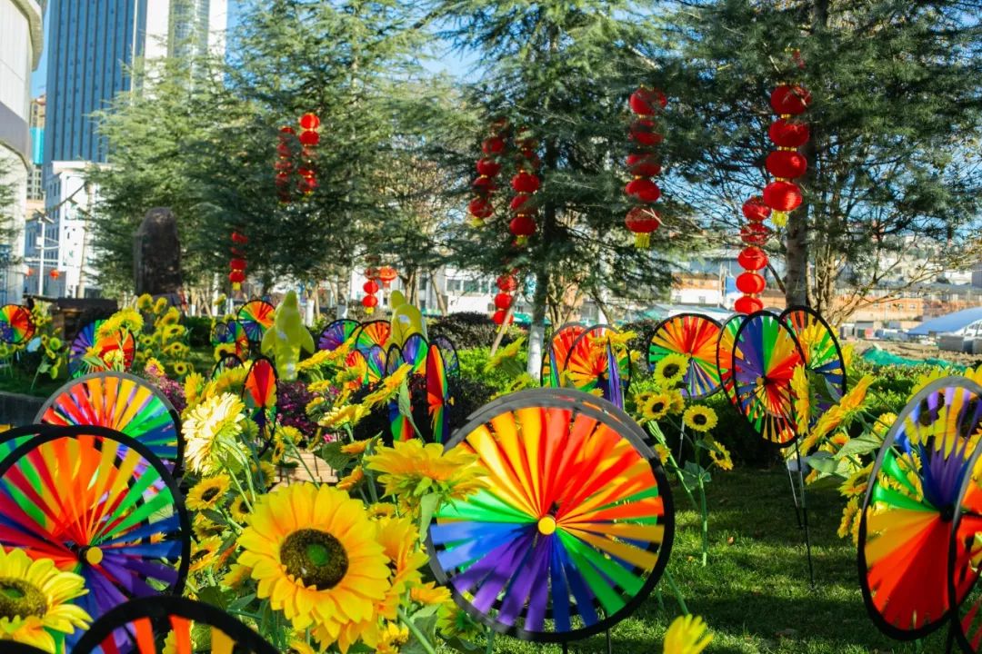 海花岛海洋乐园萌宠表演场,海花岛海洋乐园萌宠剧场