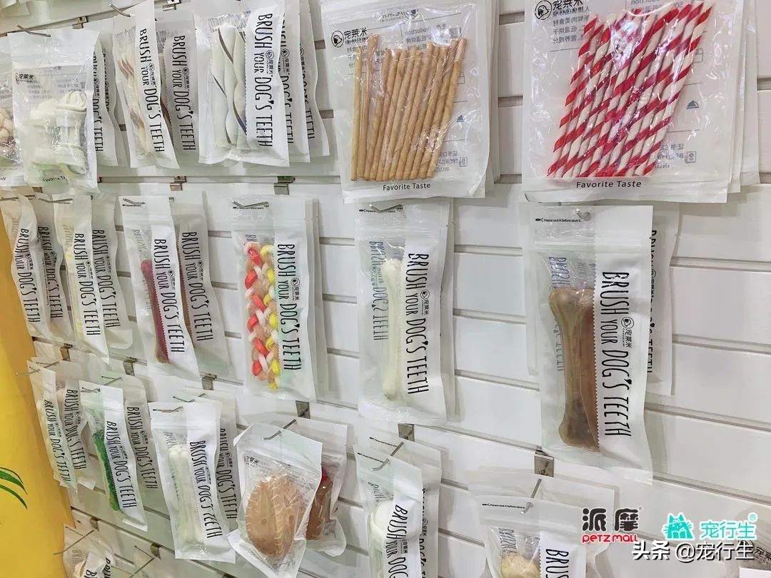 2020CIPS宠物展于广州开展，一大波萌物正在靠近