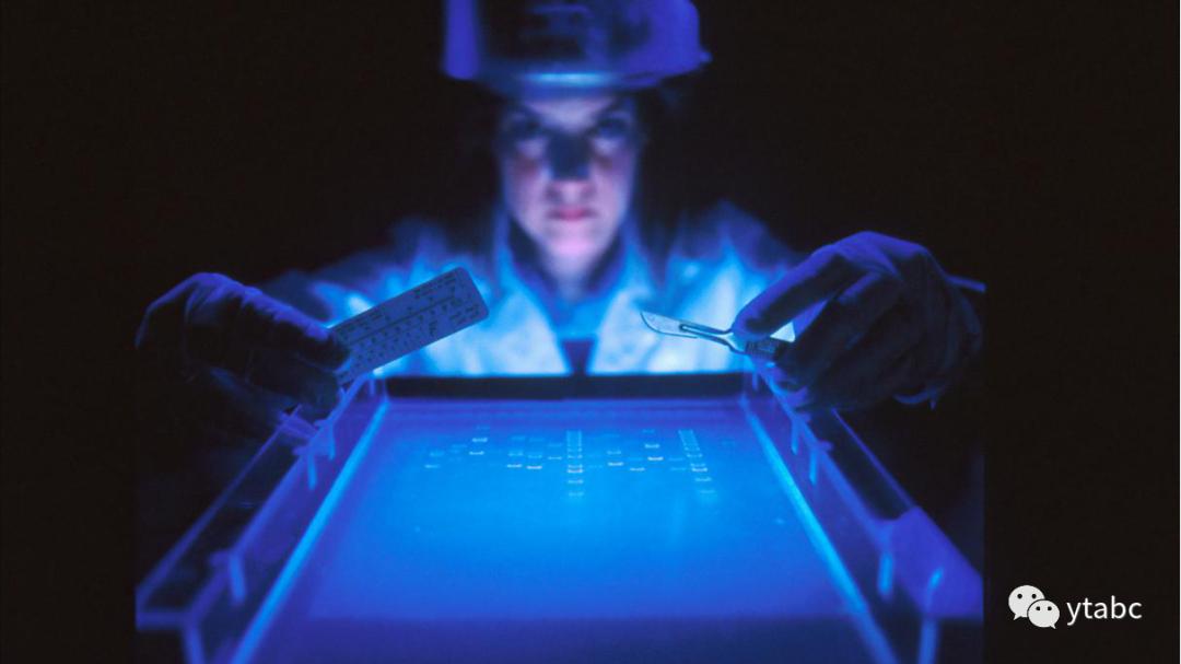 老鼠偷偷溜进博物馆，杀死拥有三只眼的远古生物