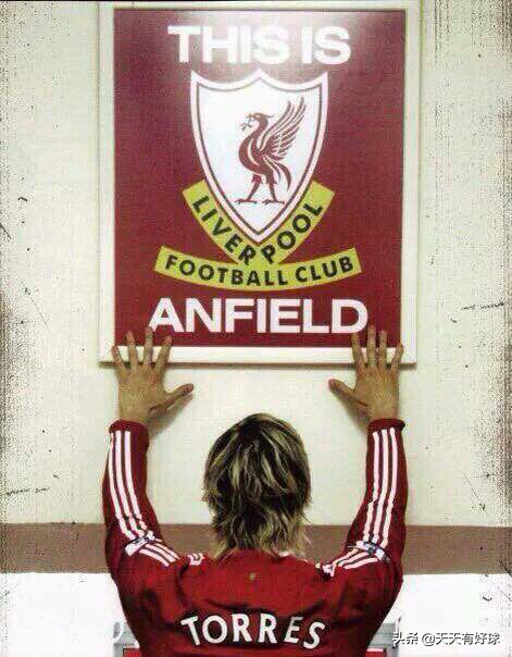 费尔南多托雷斯个人资料,费尔南多托雷斯经典时刻