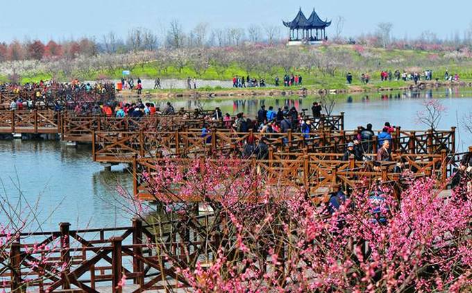 这一份公交交通指南，带你玩转上海各大景点