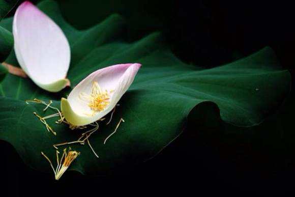 自以为是热心肠其实是缺心眼,自以为是多管闲事的人