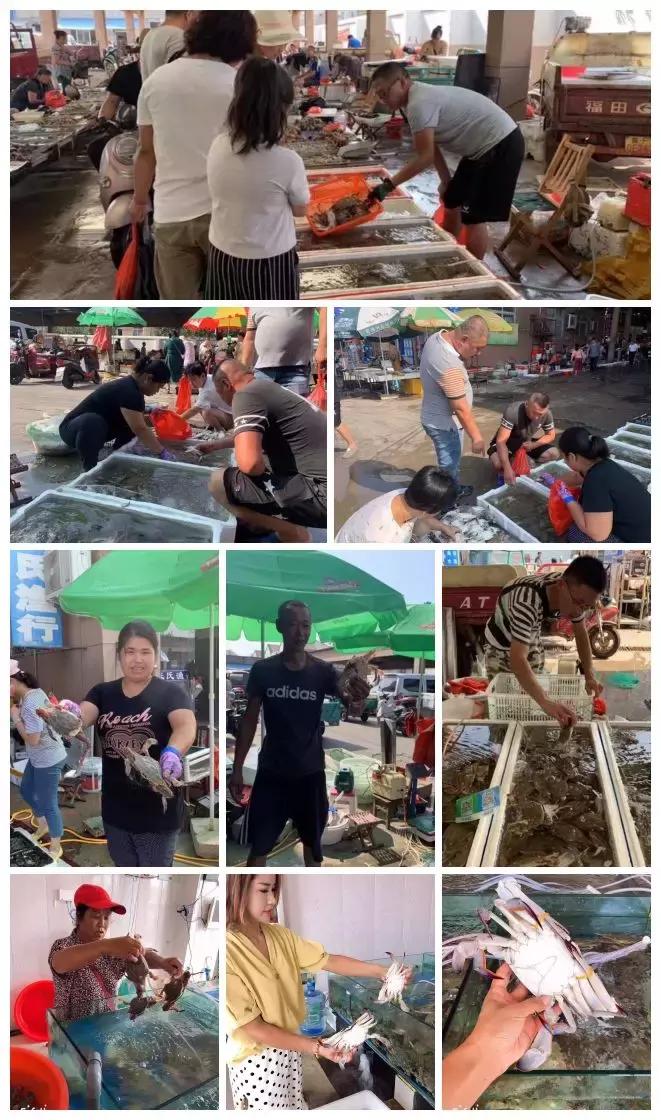 海螃蟹大量上市,威海海螃蟹价格