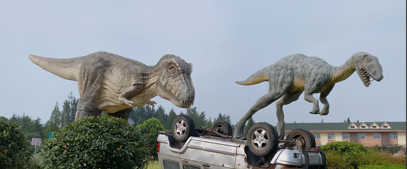 江苏高速服务区爆红,江苏高速服务区有什么好处