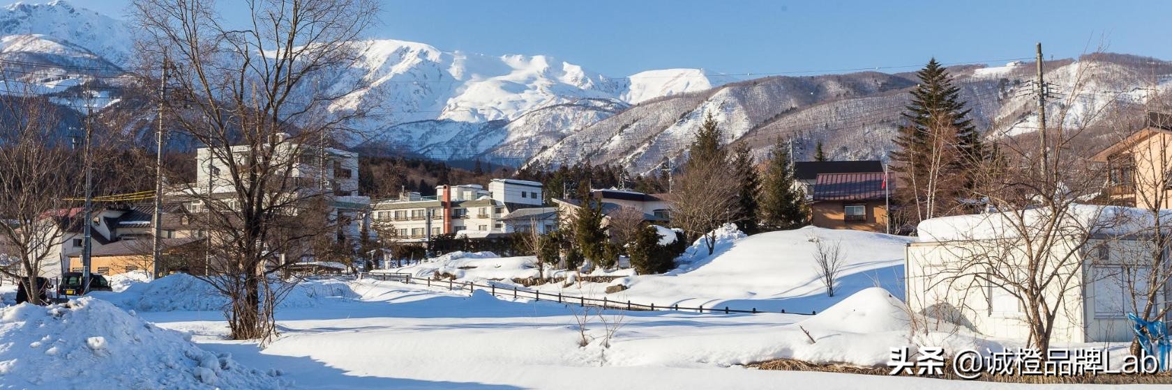 乡村内生活力,乡村发展的活力表现在诸多方面