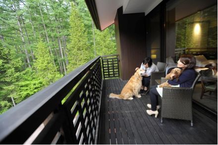 红布林日本,红布林和实体店