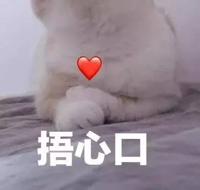 养猫药物,铲屎官必备养狗神器