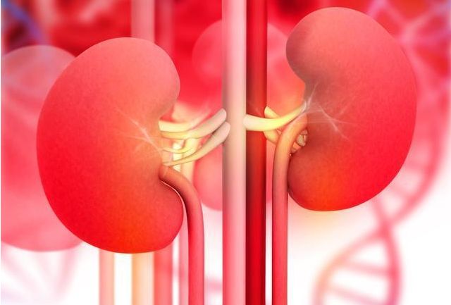 出现血尿一定是膀胱癌吗,出现血尿一定是肾炎吗