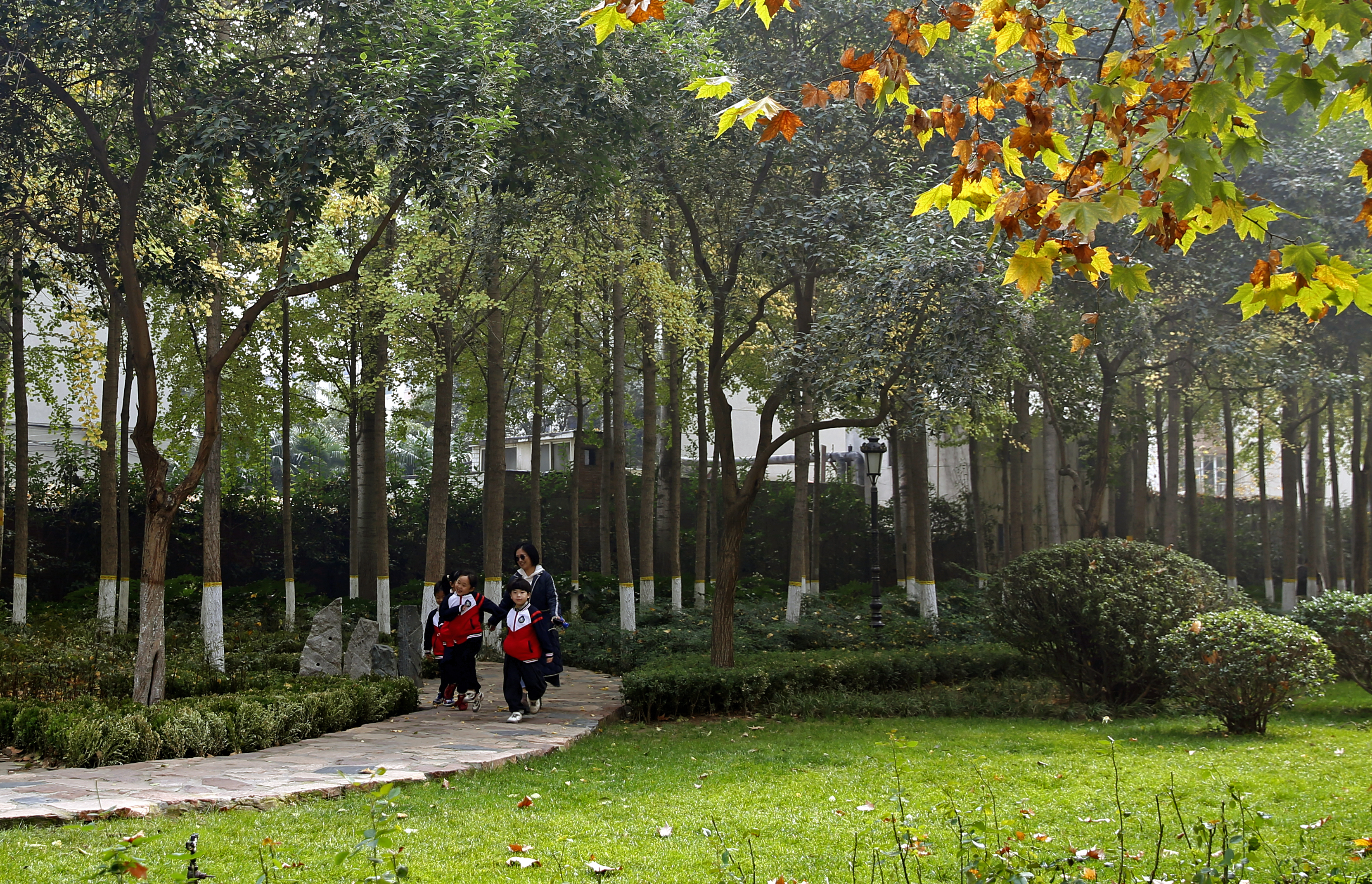 问景,问景的意思