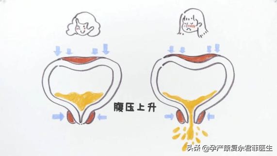 杨丽萍孔雀舞遭吐槽,孔雀仙子评价杨丽萍