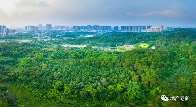 广西南宁一哥视频,南宁市一哥