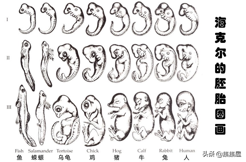 世界上欺骗人的谎言,世界上骗了无数人的骗局
