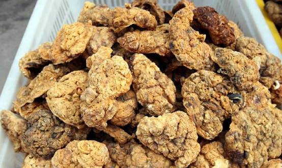 生完孩子把胎盘扔掉,生完孩子胎盘带回家被扔厕所