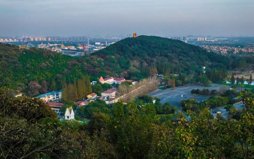 上海初中梯队排名和对口学区,上海市黄浦区2020年对口学区表