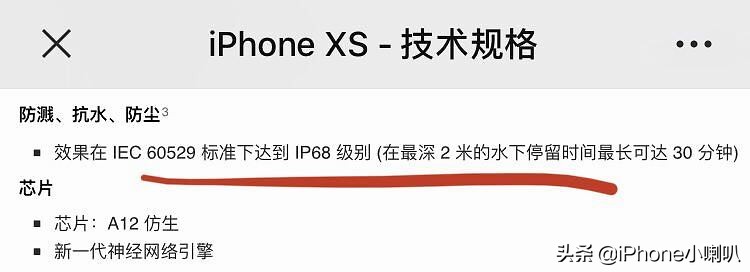 打脸?iPhoneXS掉浴缸竟然进水,律师:涉嫌虚假广告