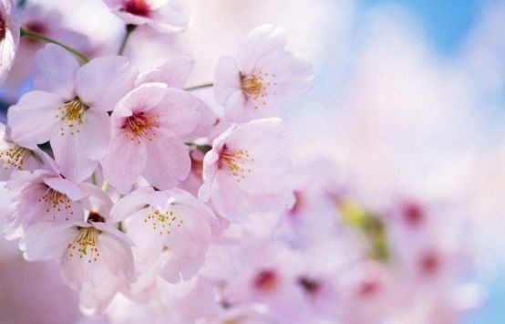 小米手机摄影技巧教程,摄影小白十大技巧