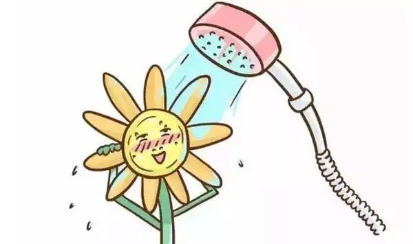 有痔疮吃什么饮食可以缓解,肠胃不好有痔疮的人吃什么食物好