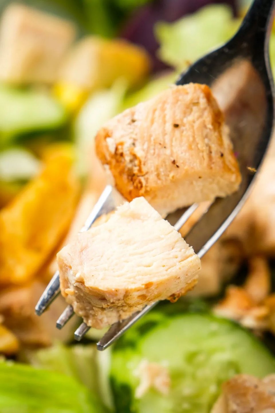 打卡魔都爱马仕级海鲜自助餐厅,打卡芝士蛋糕届的爱马仕