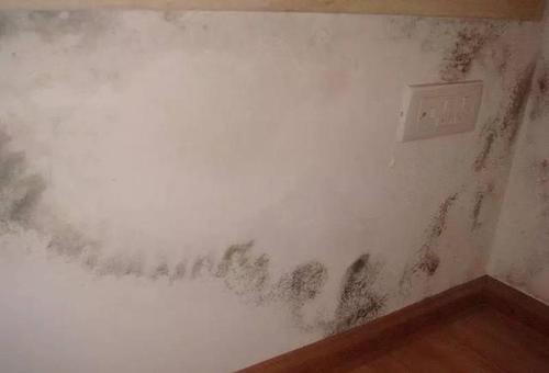 卫生间门口墙面返潮怎么彻底处理,卫生间门口墙面返潮自己怎么处理