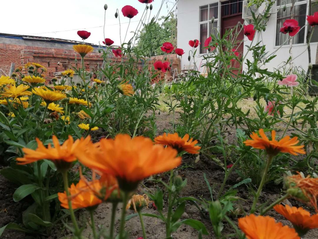 闲着木事儿，你来俺家玩儿呗