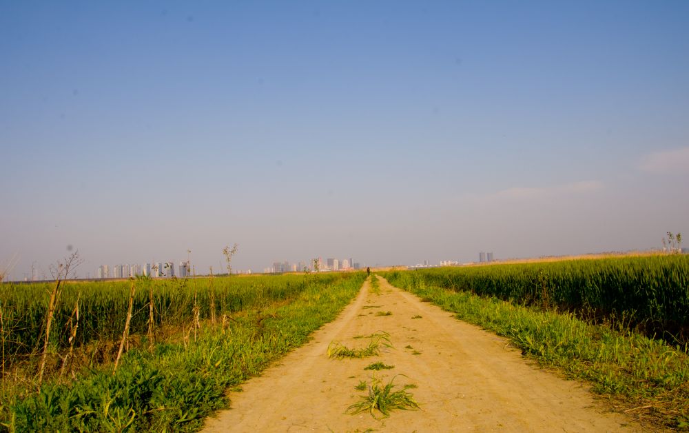 尼康d700拍星空详细教程,尼康d700入门全教程图解